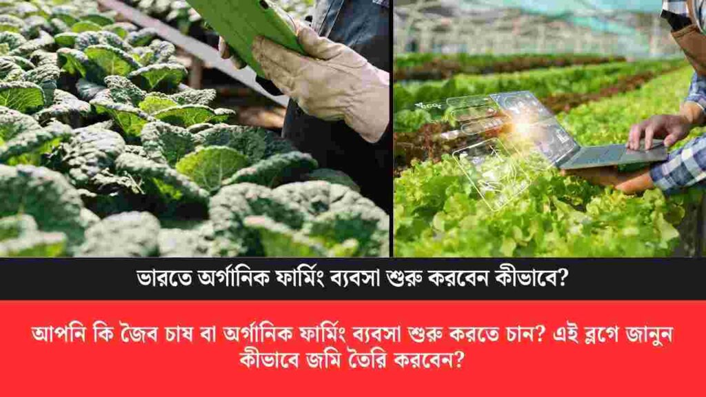 Find out how to start organic farming business