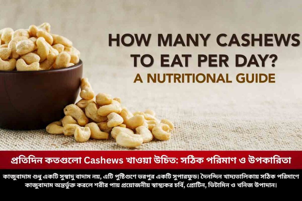 প্রতিদিন কতগুলো Cashews খাওয়া উচিত: সঠিক পরিমাণ ও উপকারিতা Check out how many cashews to eat per day